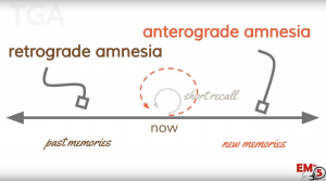 transient global amnesia after effects