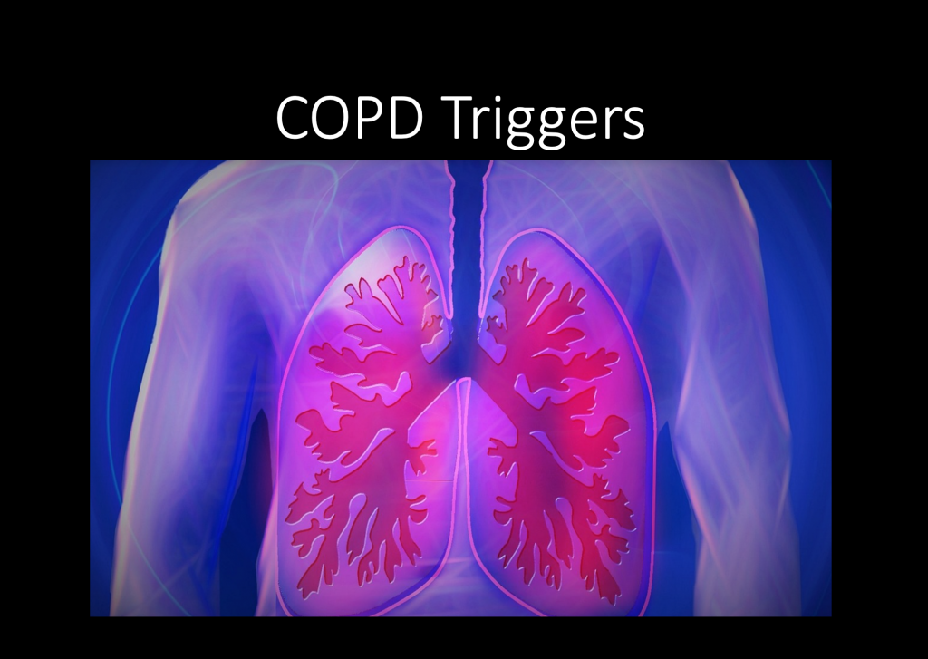 Chronic Obstructive Pulmonary Disease Exacerbation Score