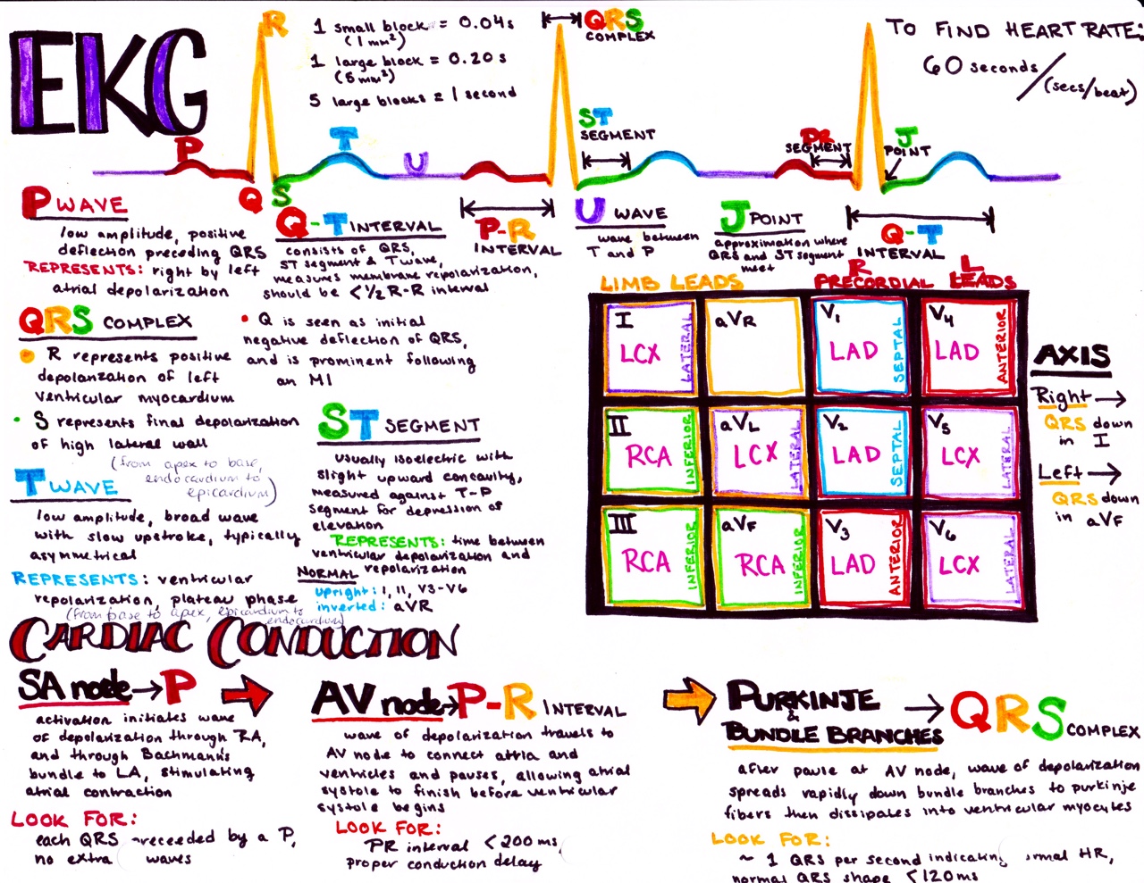 emdocs-emergency-medicine-educationcleavon-md-how-to-read-an-ekg