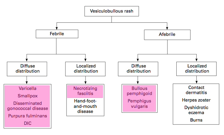 EmDOCs.net – Emergency Medicine EducationWhat’s That Rash? An Approach ...