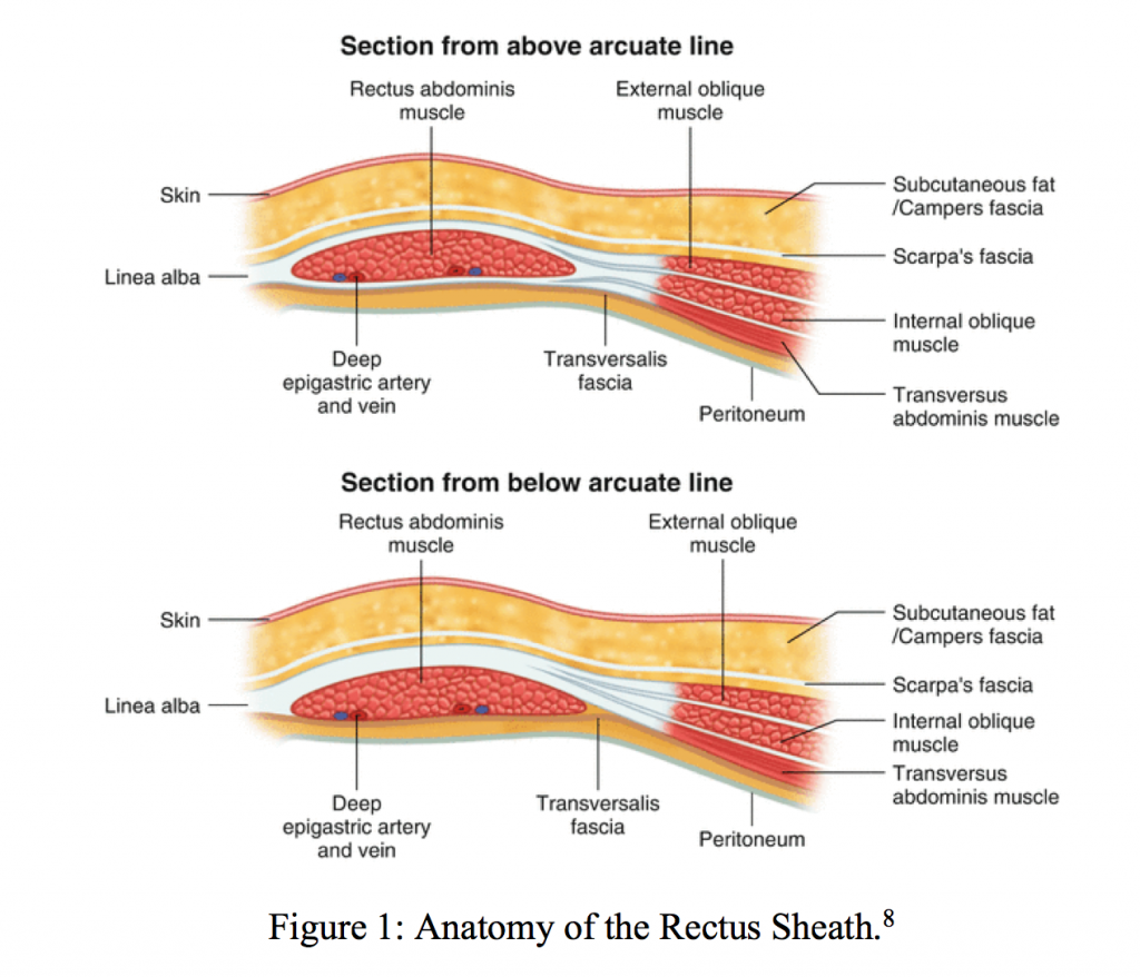 emDOCs.net – Emergency Medicine EducationSudden Abdominal Pain with a ...