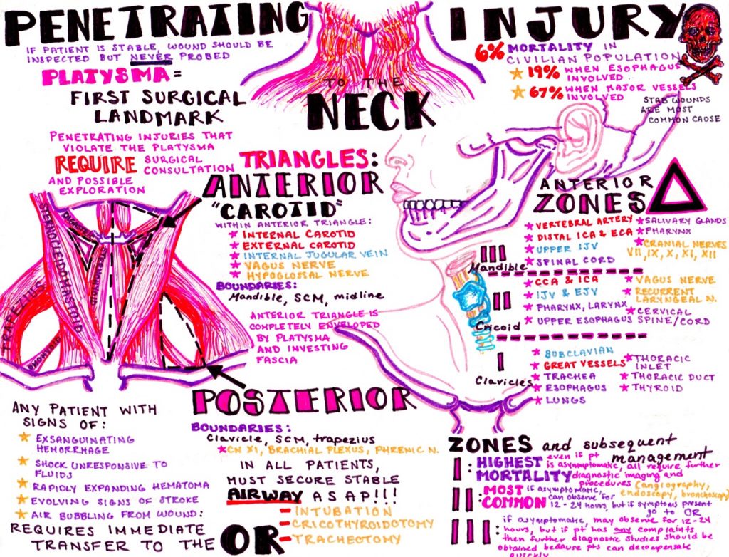 emDOCs.net – Emergency Medicine EducationThe EM Educator Series: Neck ...