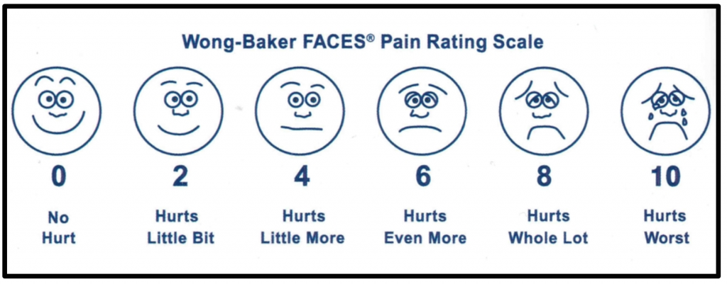 emDOCs.net – Emergency Medicine EducationPain Profiles: Intranasal ...