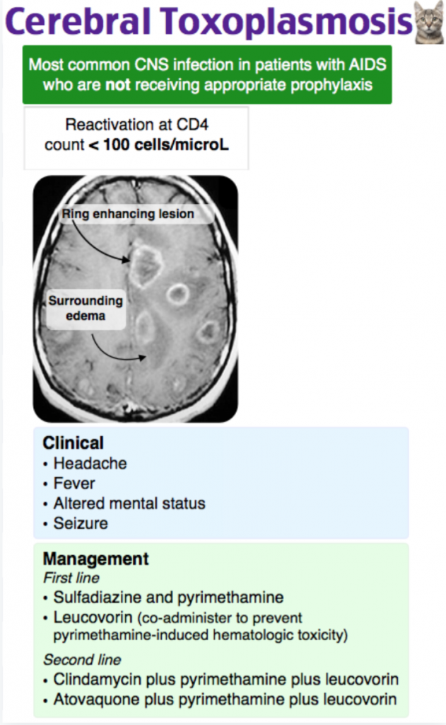 emDOCs.net – Emergency Medicine EducationEM@3AM: CNS Toxoplasmosis in ...