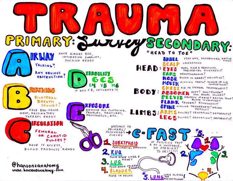 Emdocs Net Emergency Medicine Educationimages Emdocs Net Emergency Medicine