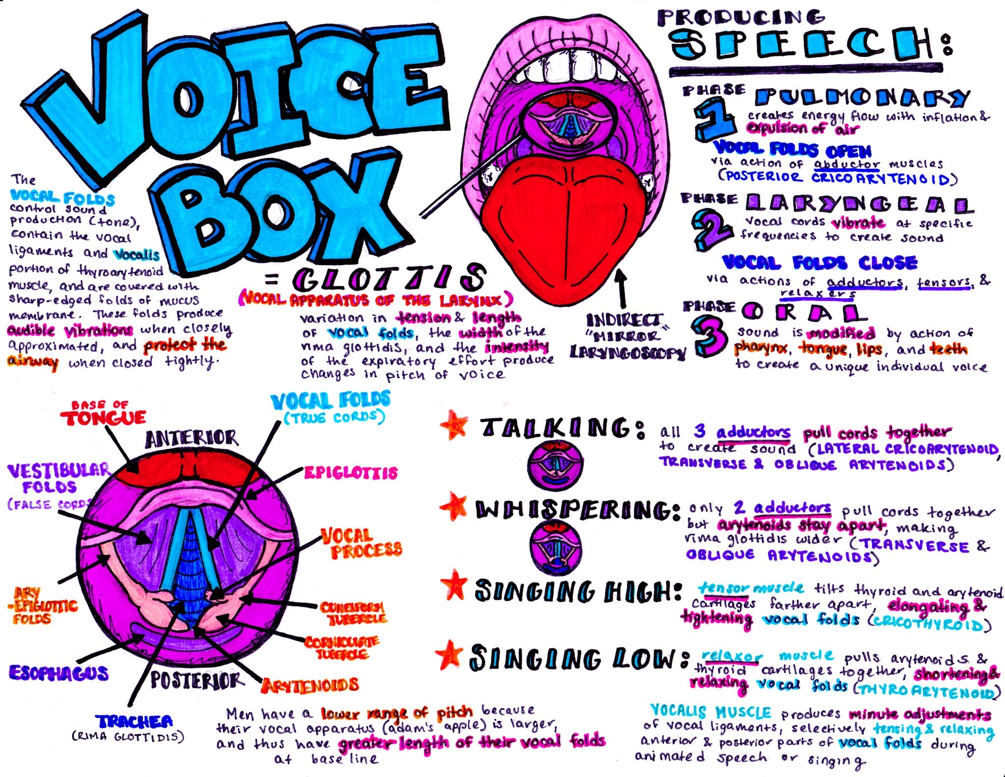 emdocs-emergency-medicine-educationvoicebox-emdocs