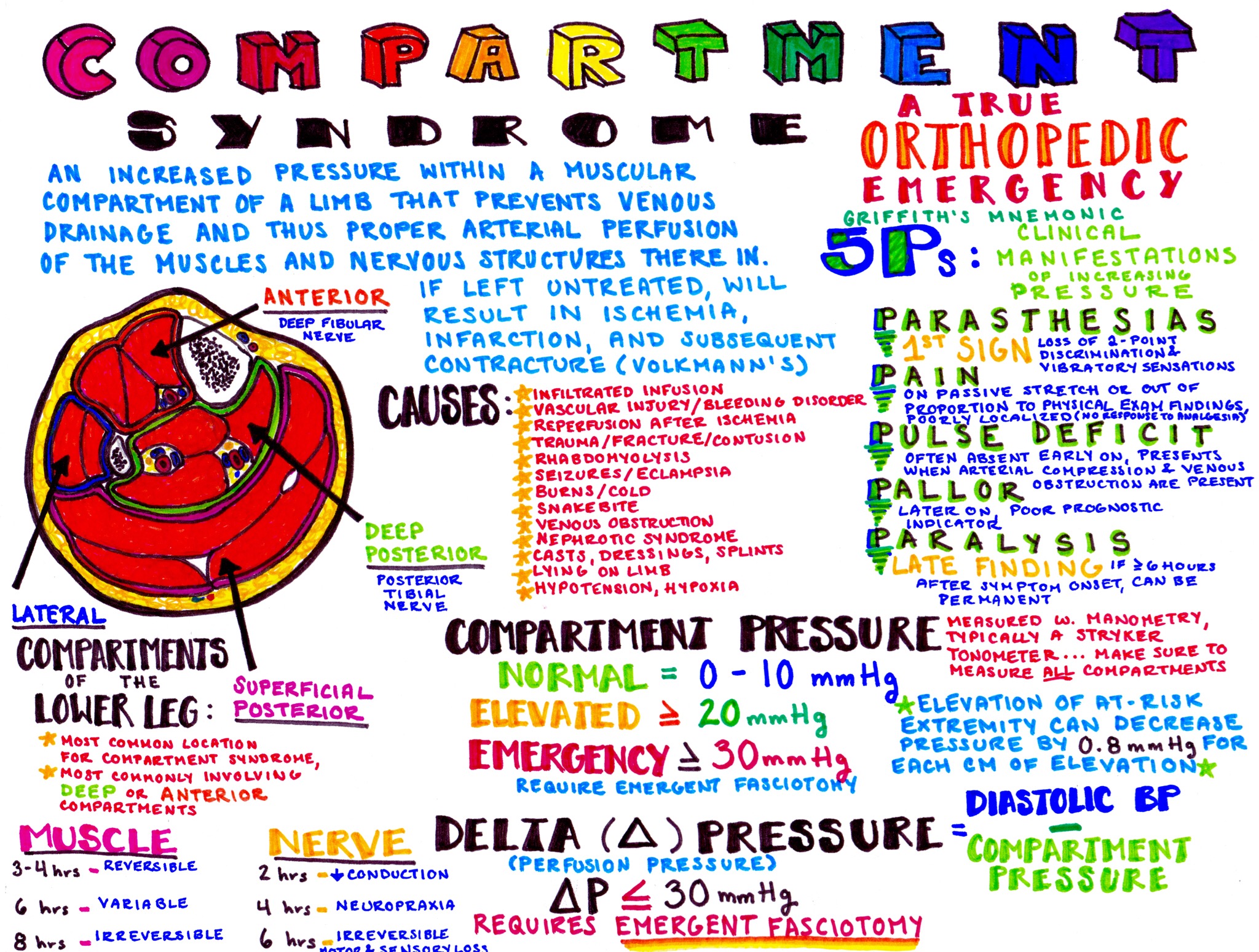 EmDOCs Net Emergency Medicine EducationIMG EmDOCs Net Emergency Medicine Education