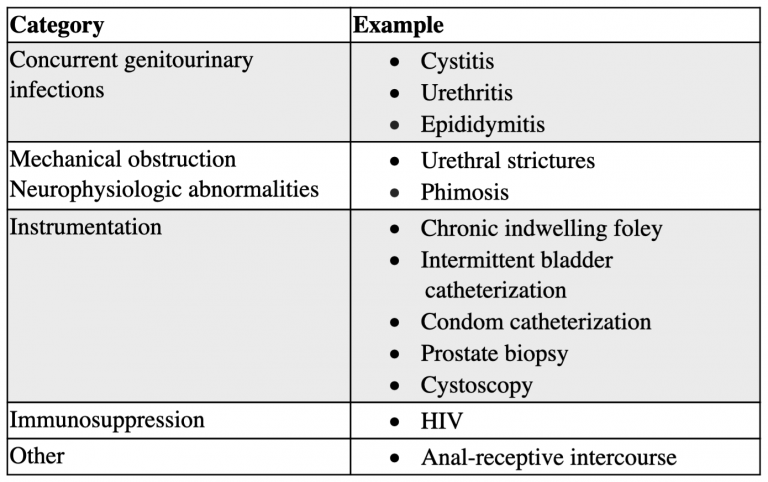 emDOCs.net – Emergency Medicine EducationProstatitis: ED Presentation ...