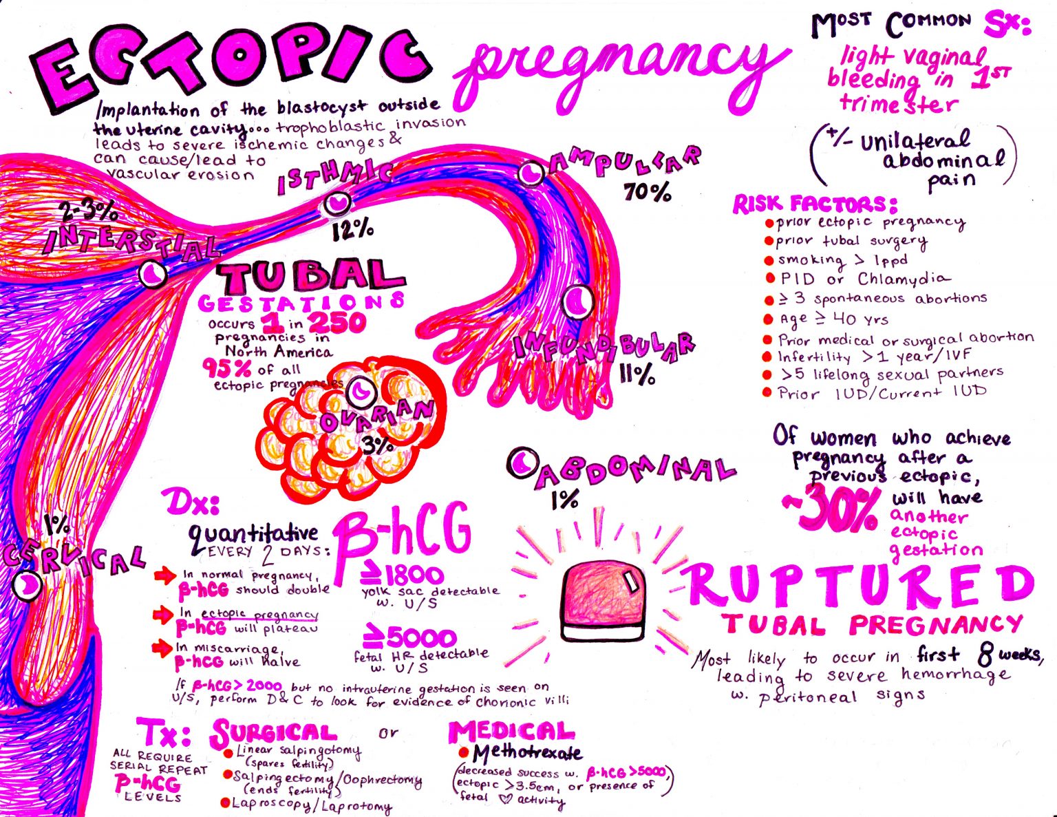 emDOCs.net – Emergency Medicine EducationThe EM Educator Series ...