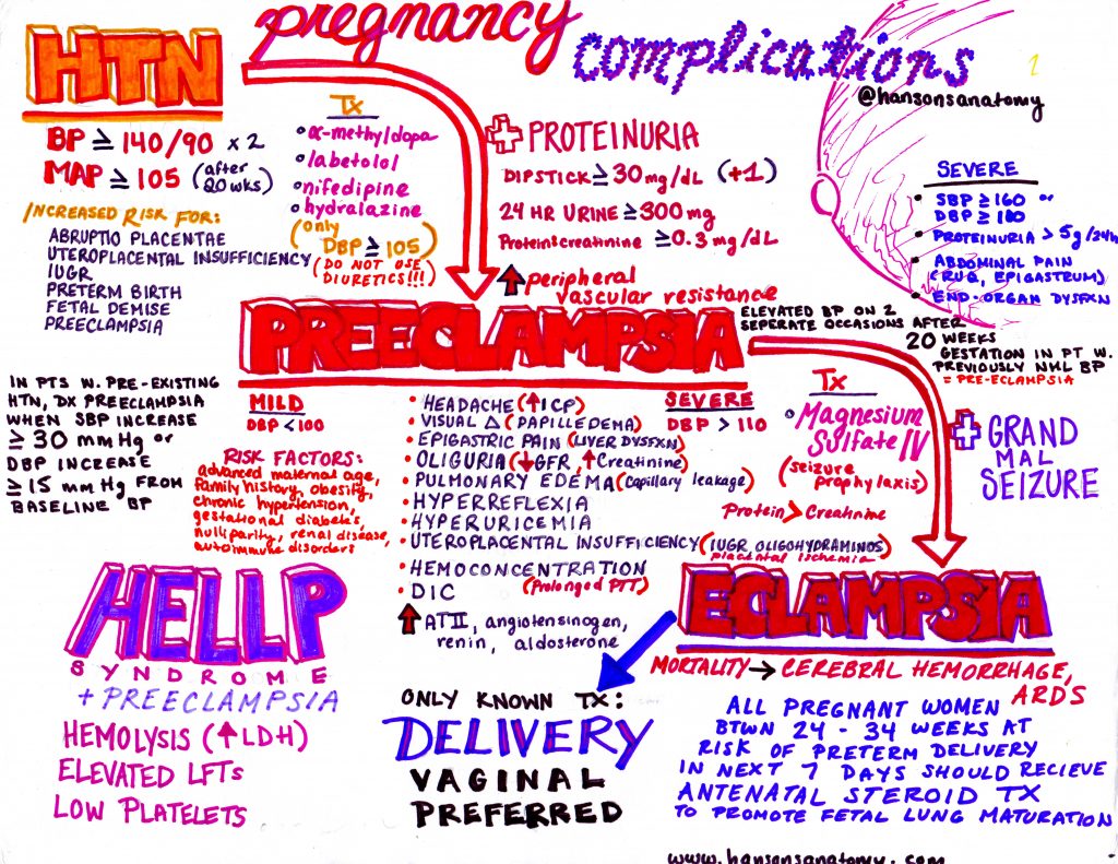 Emergency Medicine EducationEclampsia in the ED