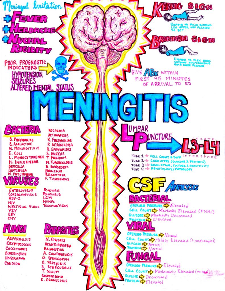 Meningitis infographic