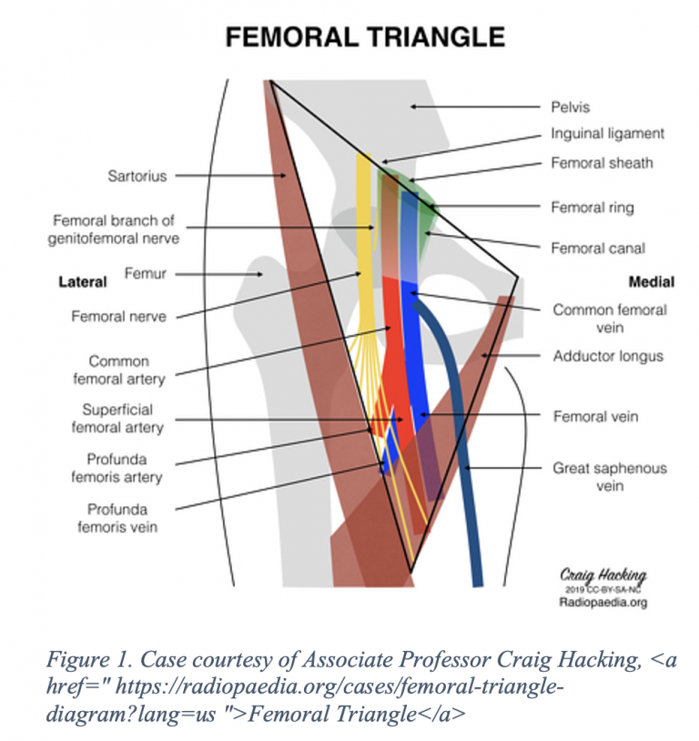 Emdocs Net Emergency Medicine Educationpenetrating Wound To The Groin Emdocs Net Emergency