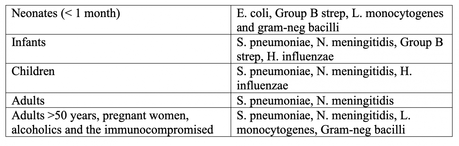 Emergency Medicine Educationem 3am Bacterial Meningitis