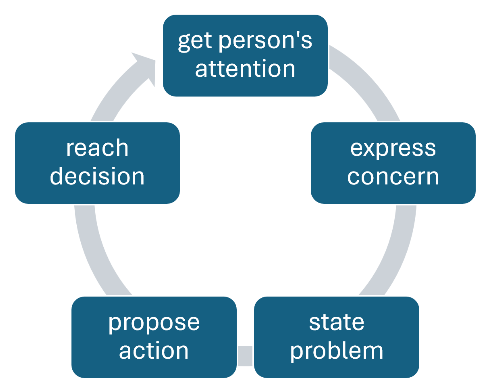The assertion model for conflict resolution