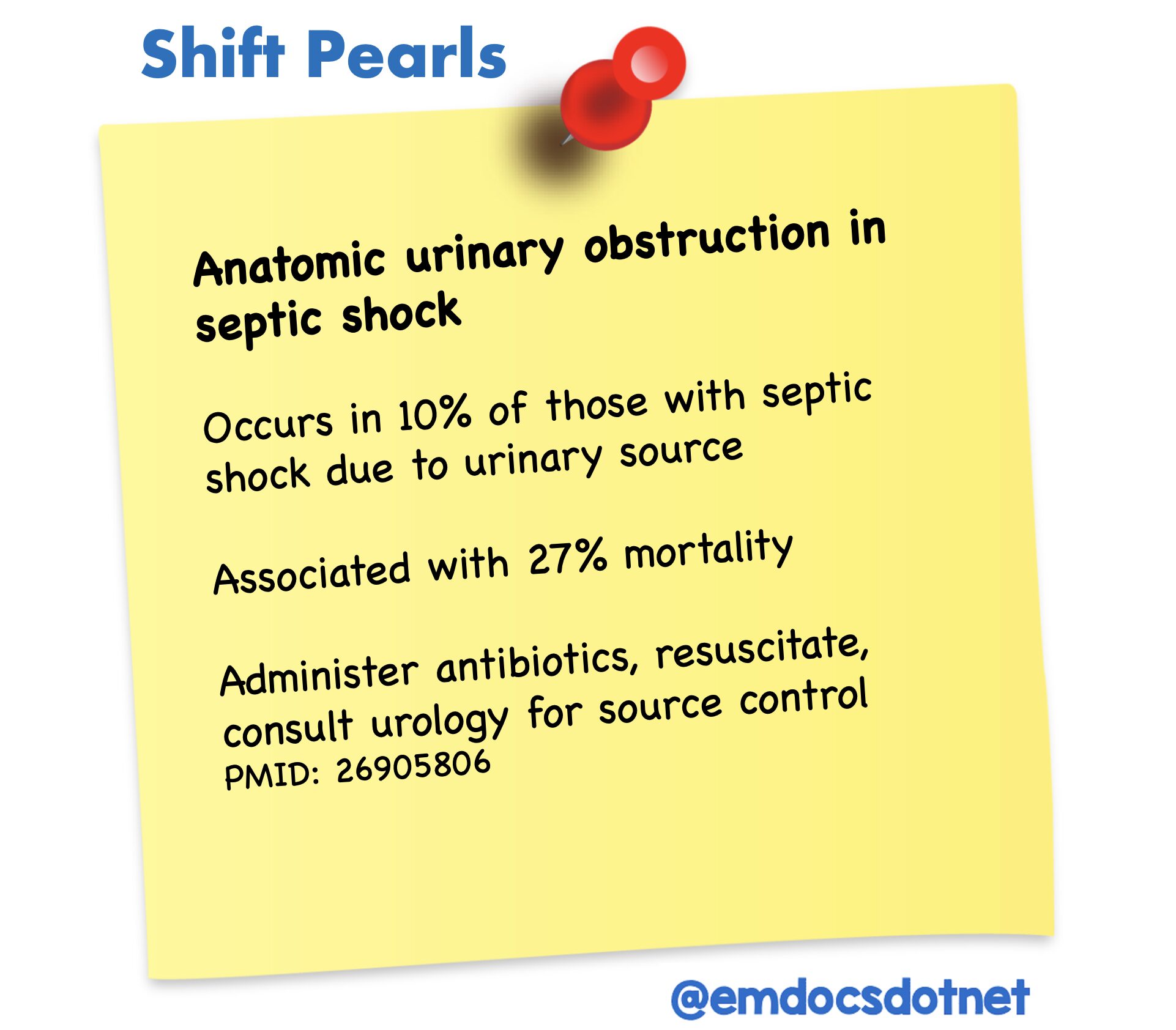 shift pearls urinary