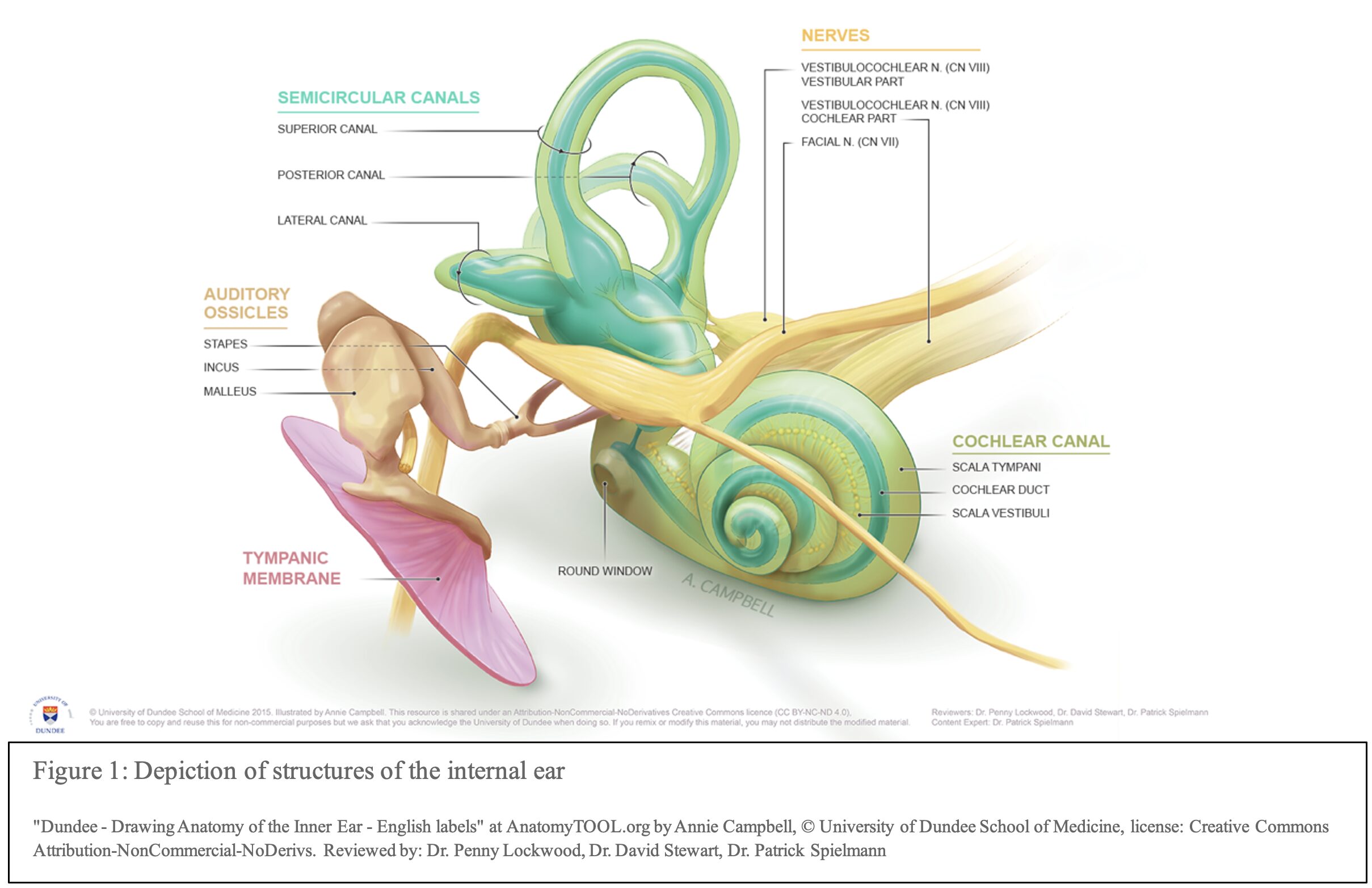 Labyrinthitis